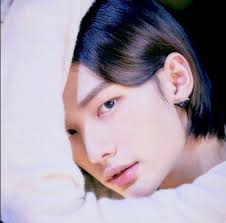 What is your underrate opinion about Seungmin Stray Kids?