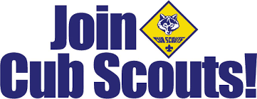Image result for cub scout family