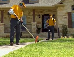 Once you're signed in, scroll down to services in the overview page, then click the status center link. Lawn Care Landscaping Services The Grounds Guys
