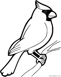 Thalia.de has been visited by 100k+ users in the past month Cardinal Coloring Pages Coloringall