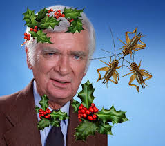 A guy dressed as a "Wizard" said he'll slowly turn me into a loaf of bread.  I LAUGHED. 😂 But NOW, UM, I'm starting to Wonder. 😲