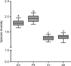 Image result for Erianthemum ngamicum