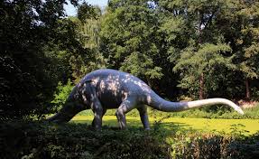 The diplodocus was a herbivore of the late jurassic period sporting a tremendously long tail and neck. Diplodocus Foto Bild Reportage Dokumentation Tiere Alltagsreportage Bilder Auf Fotocommunity