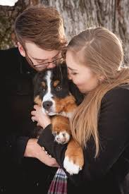Bernese mountain dog puppies dallas tx. Fetching Daily Dog Tag