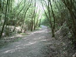 Résultat de recherche d'images pour 