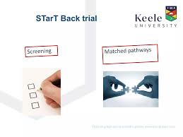 Image result for Start Back Screening Tool