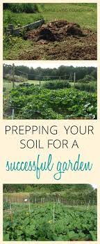 Vegetable Gardening Tips In Hindi Vegetablegardening Gardening For Beginners Dream Backyard Garden Healthy Garden