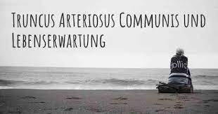 Was Ist Die Lebenserwartung Mit Truncus Arteriosus Communis