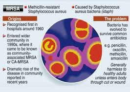 Mar 16, 2021 · mrsa is a type of staph bacteria that has become resistant to the effects of many common antibiotics. Infographic On Mrsa Infection