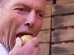 Camille Gray (@Camillco)