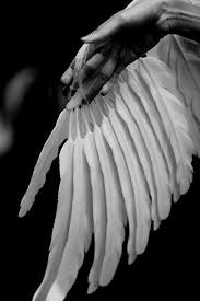 Laments Of An Icarus The Paramours Of Courtesans Are Well And Satisfied Content But As For Me My Limbs A Cherno Beloe Skazochnye Fantazii Fotoiskusstvo