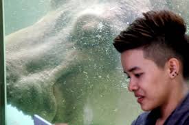 gezen bezgin: dusit şeyleri