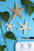 Diy Sea Creatures