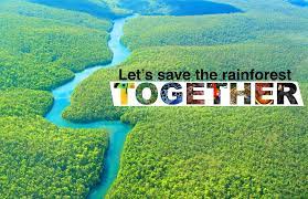 Saving The Tropical Rainforests - Tropical Rainforests