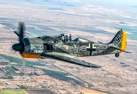 Image result for fw 190