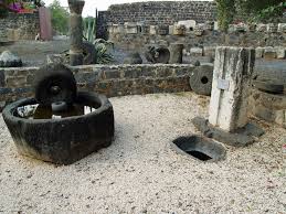 Generally, olive oil is one of the best oils to use for any culinary purpose. Olive Oil Extraction Wikipedia