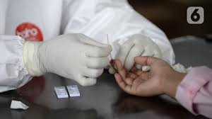 My kind of amusement park. Kimia Farma Impor 10 Ribu Box Rapid Test Dari Belanda Bisnis Liputan6 Com