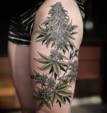 He is a councilman representing the air acolytes for the united republic; Weed Leaf Lip Tattoo Novocom Top