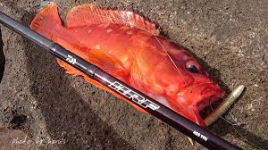 ダイワ hrf air kj インプレ