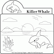This toothed whale tops the carnivores in the food chain. Penguins Coloring Pictures Animal Coloring Pages Free Whale Coloring Home