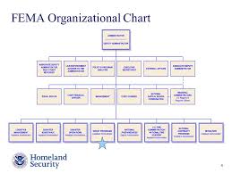 59 Symbolic Fema Org Chart