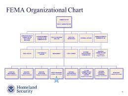 59 Symbolic Fema Org Chart