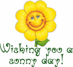 Image result for sunny day pictures images