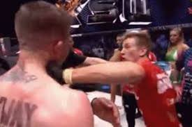 Check spelling or type a new query. Ksw 40 Video Ufc Vet Norman Parke Gets Punched By A Cornerman After The Bell Bloody Elbow