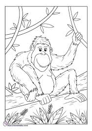 Gambar mewarnai pemandangan langit cerah untuk anak paud dan tk buku mewarnai pemandangan gambar. Pin Di Gambar Mewarnai
