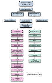 Criminal Law Substance And Procedure Criminal Justice