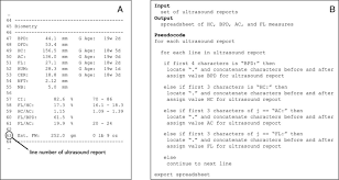 Example Section Of Ultrasound Report That Includes Fetal