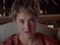 We did not find results for: How To Get A Pixie Cut Like Shailene Woodley In Insurgent Beauty