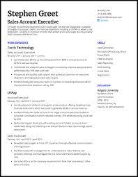 Customer service resume examples & templates. 3 Account Executive Resume Examples For 2021