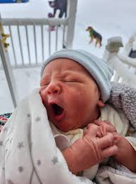 First snow day for Nash! ❄️ Dad is outside playing with the girls and I'm 