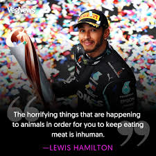 GREAT YARMOUTH AGAINST ANIMAL CRUELTY