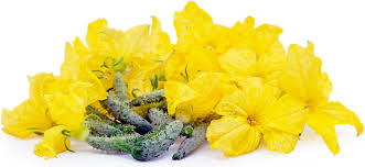 The aspirin is a famous drug known for its blood thinning property. Miniature Cucumbers With Flowers Information And Facts