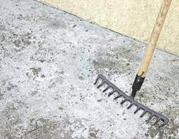 Maybe you would like to learn more about one of these? Small Gray Bugs On Concrete Hunker Concrete Concrete Floors Concrete Wall
