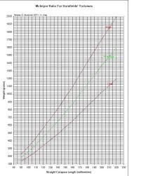 Russian Tortoise Size Chart Russian Tortoise Weight Chart