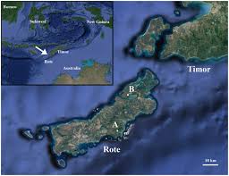We did not find results for: A Striking New Species Of Leaf Warbler From The Lesser Sundas As Uncovered Through Morphology And Genomics Scientific Reports