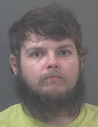 Henry County man charged with battering child, woman