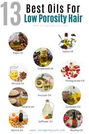 Argan oil healing capabilities make it the best oil to restore hair shine, encourage healthy hair growth, and is the perfect prevent hair loss: Oils For Low Porosity Hair Low Porosity Hair Products Hair Porosity Low Porosity Hair Care