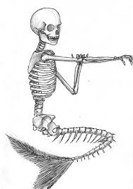 5 out of 5 stars. I Need Help Please Mermaid With A Pirate Hat Artcrit Mermaid Skeleton Mermaid Sketch Skeleton Drawings
