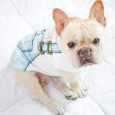 Shop french bulldog mom hoodies created by independent artists from around the globe. French Bulldog Clothes Uk Us Worldwide Free Shipping Baby French Bulldog Dog Clothes Diy Pug Clothes