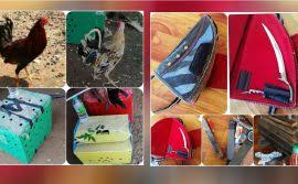 Agen ayam sabung bandar ayam laga taji arena meron wala situs judi sabung ayam live filipina terbesar ayam aduan online terpercaya indonesia www.s128.net. Judi Tai Sai Laga Ayam Di Ladang Sawit Tumpas