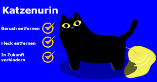 Beim markieren tritt sie mit den hinterbeinen auf der stelle und der schwanz zittert ganz doll. Katze Pinkelt Uberall Hin Was Hilft Polster Info De