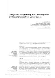 Image result for Cassipourea ruwensorensis