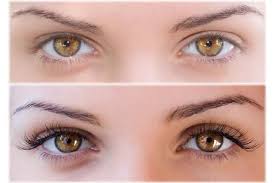 Bluehost Com Natural Eyelashes Thicker Eyelashes Long Thick Eyelashes