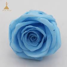 Maybe you would like to learn more about one of these? China Wholesale Long Lasting Decorative Preserved Skyblue Rose Flowers China Preserved Flower And Flower Roses Price