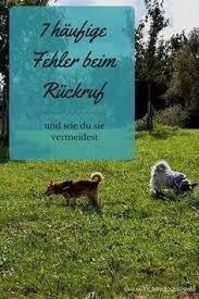 7 Haufige Fehler Beim Ruckruf Und Wie Du Sie Vermeidest Hunde Welpen Erziehung Hunde Hunde Verstehen
