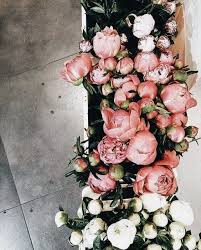 Pin By Vintagebash Toronto Decor F On Flowers Flowers Photography Peonies Beautiful Flowers Flowers